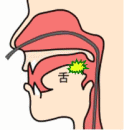 径鼻内視鏡検査イメージ